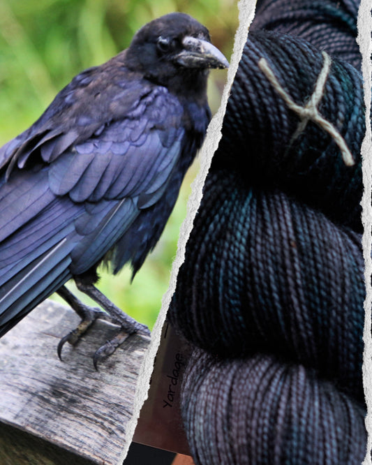 Field Notes: Raven