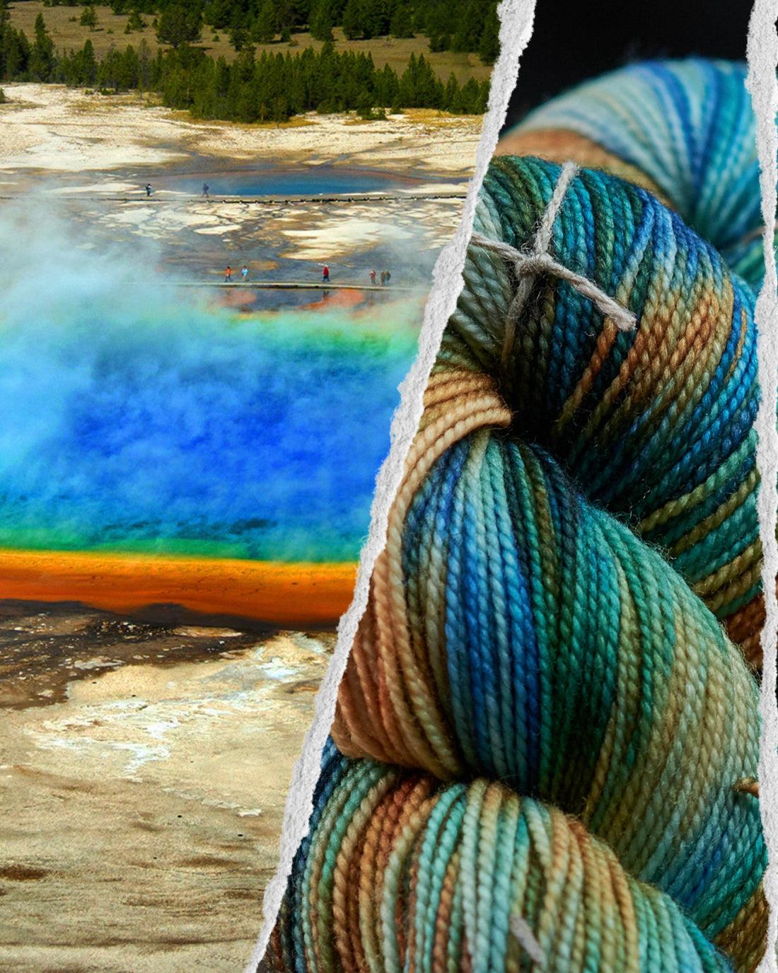 Field Notes: Grand Prismatic