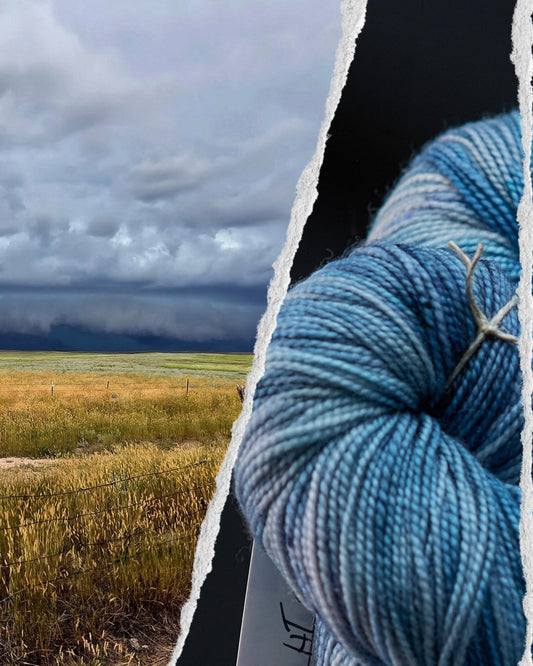 Field Notes: Wyoming Storm