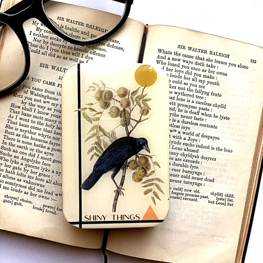 Field Notes: The Things Worth Keeping
