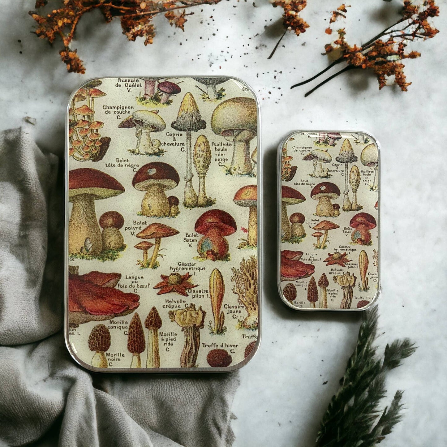 Foraged & Found Mushroom Tin