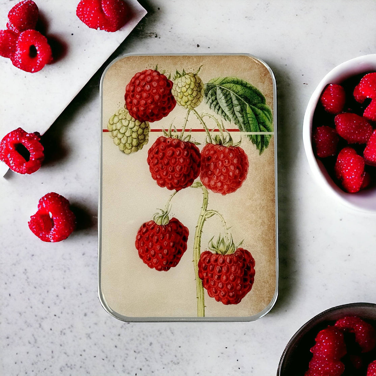 Raspberry Notions Tin