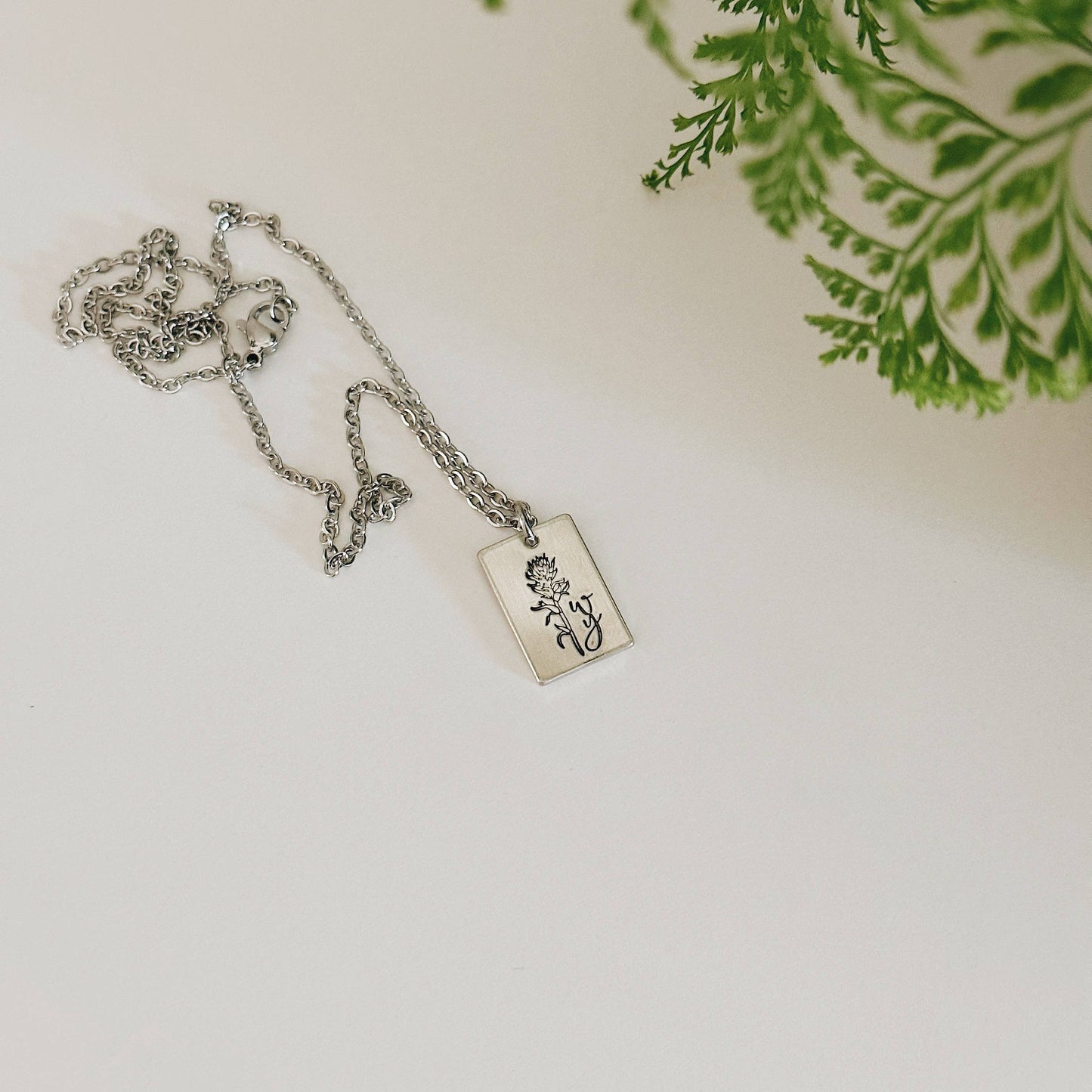Indian Paintbrush Wyoming Necklace – Silver
