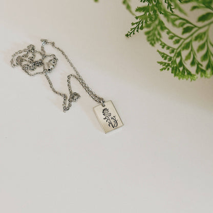 Indian Paintbrush Wyoming Necklace – Silver