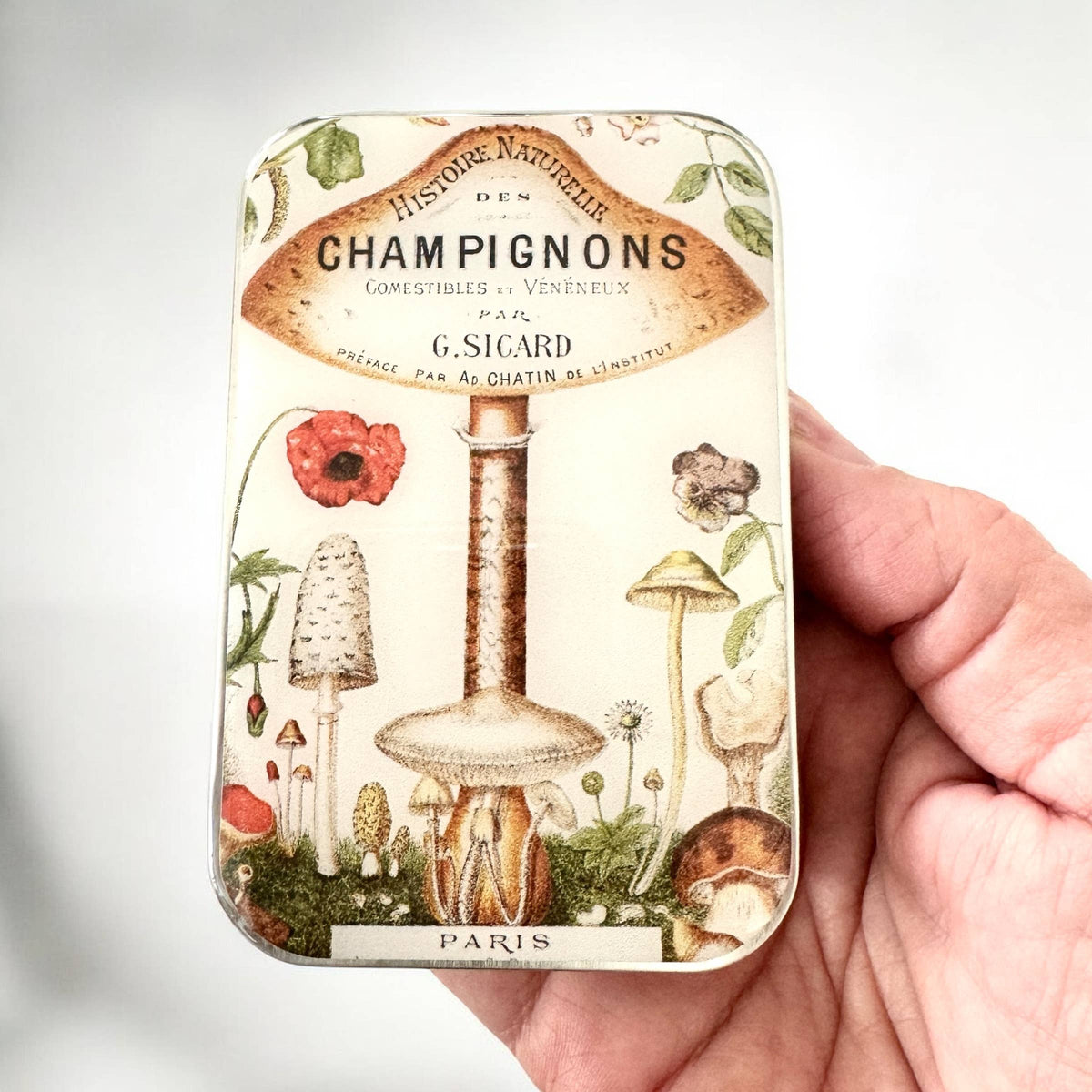 Vintage Mushroom Notions Tin