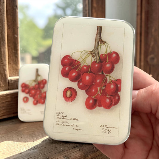 Botanical Cherry Tin