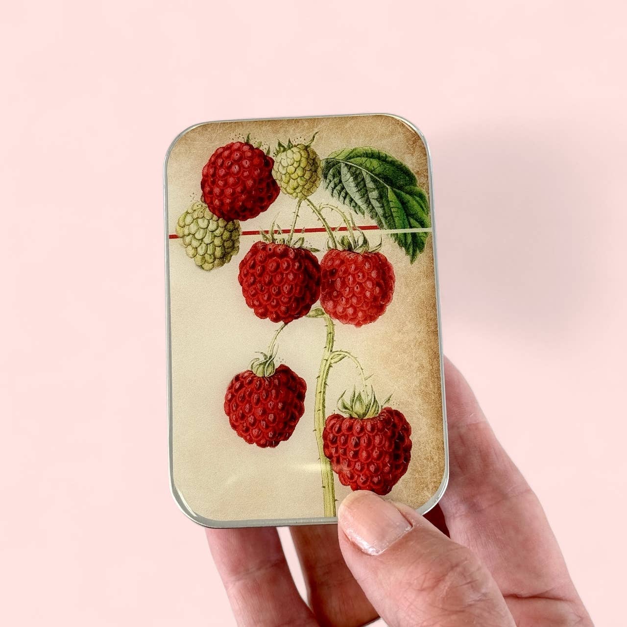 Raspberry Notions Tin