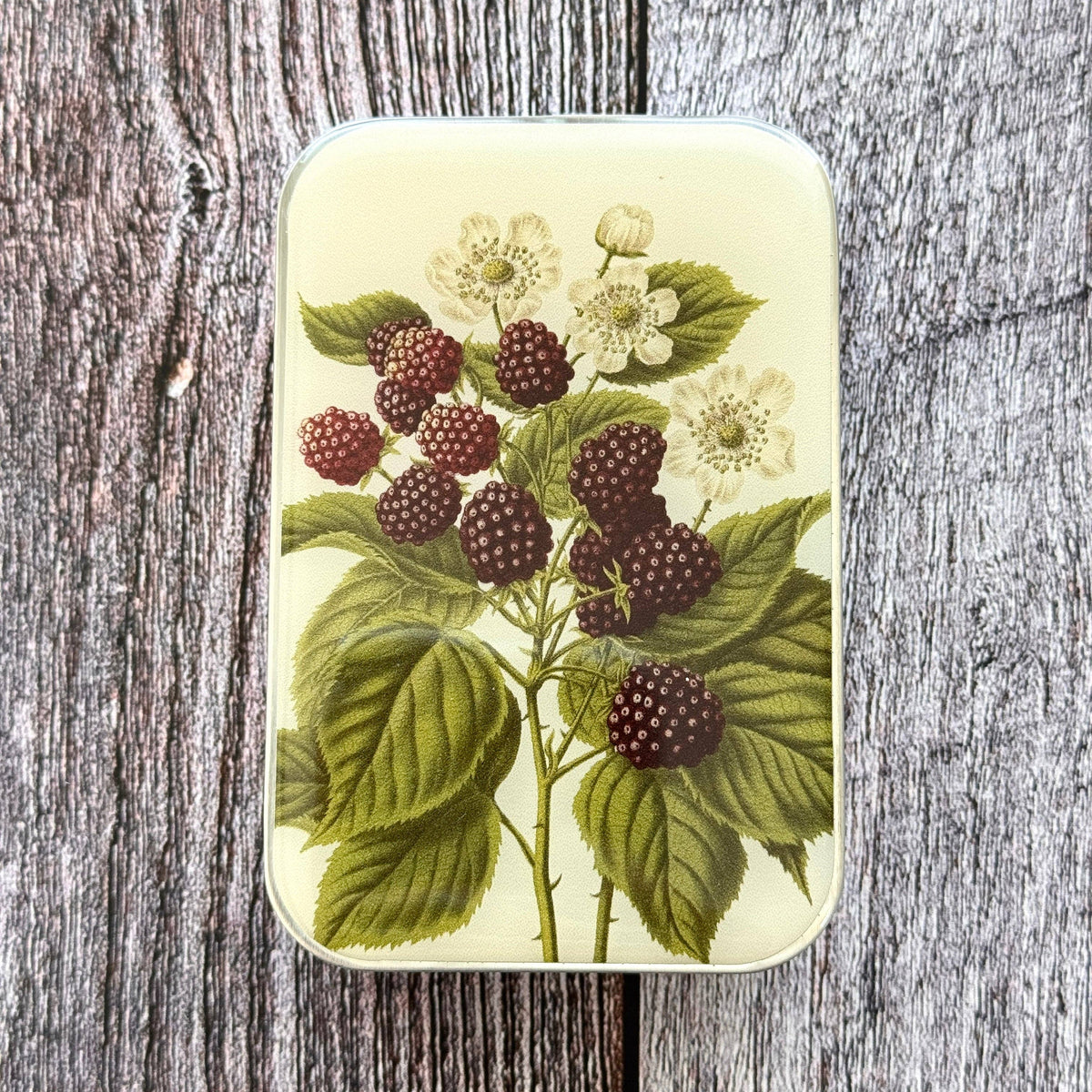 Wild Blackberry Botanical Notions Tin