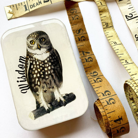 Wise Owl Notions Tin