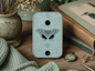 Butterfly/Moth Notions Tin