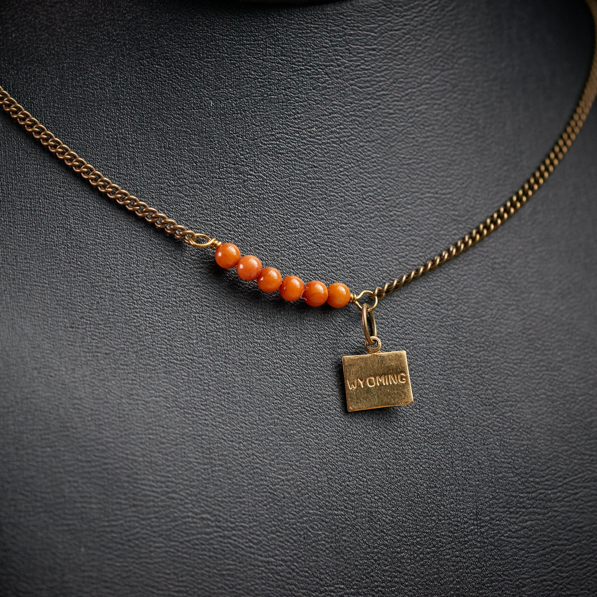Wyoming Found Necklace