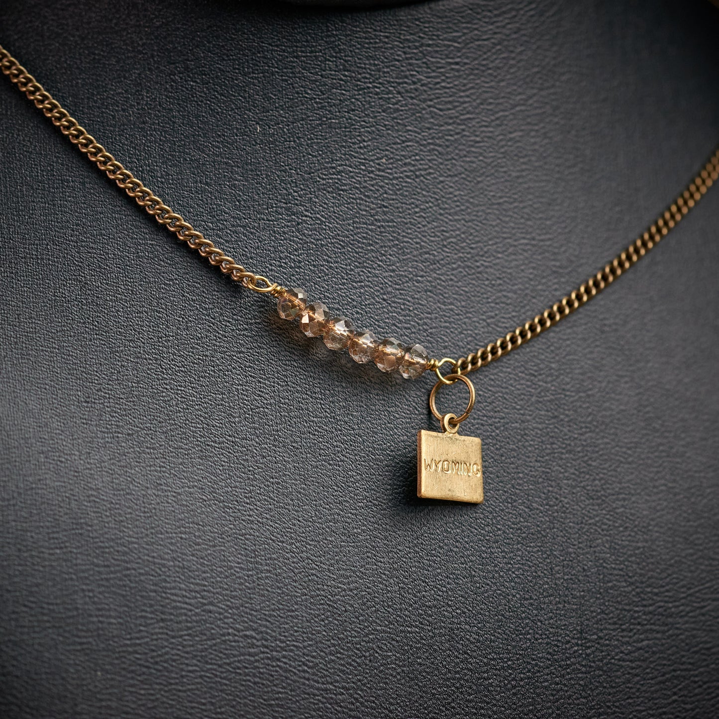 Wyoming Found Necklace