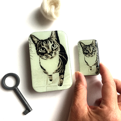Cat Notions Tin