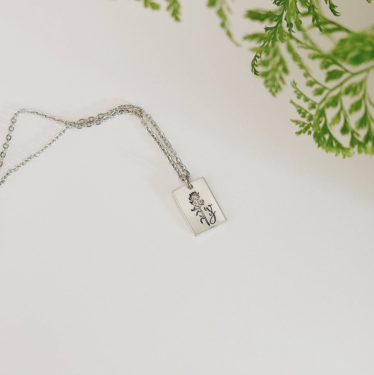 Indian Paintbrush Wyoming Necklace – Silver