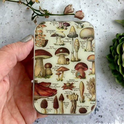 Foraged & Found Mushroom Tin